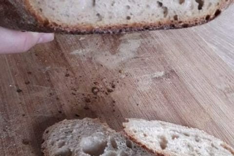 Cliquez pour zoomer ! Photo de coquoergosum