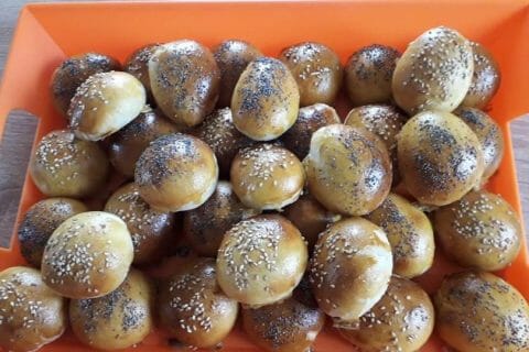 Cliquez pour zoomer ! Photo de coquoergosum