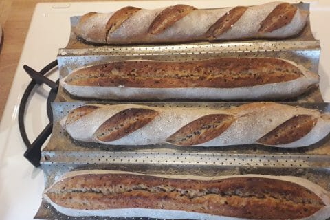 Cliquez pour zoomer ! Photo de coquoergosum