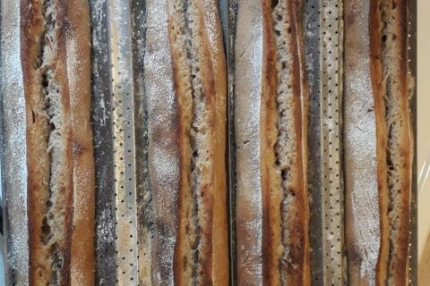 Cliquez pour zoomer ! Photo de coquoergosum