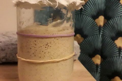 Cliquez pour zoomer ! Photo de coquoergosum