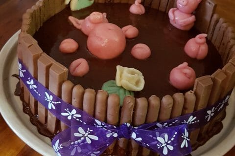 Cliquez pour zoomer ! La mare aux cochons Thermomix par Josiane66