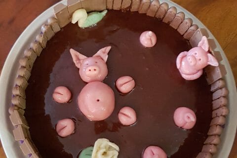 Cliquez pour zoomer ! La mare aux cochons Thermomix par Josiane66
