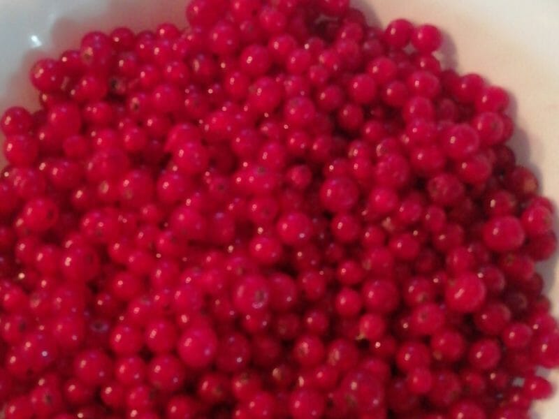 Cliquez pour zoomer ! Gelée de groseilles Thermomix par maleava