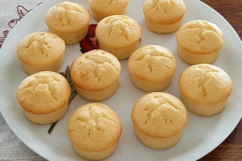 Cliquez pour zoomer ! Photo de kiki18570