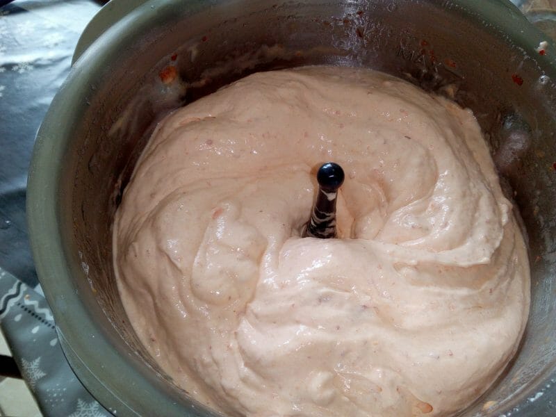 Cliquez pour zoomer ! Sorbet à l’abricot Thermomix par flom84