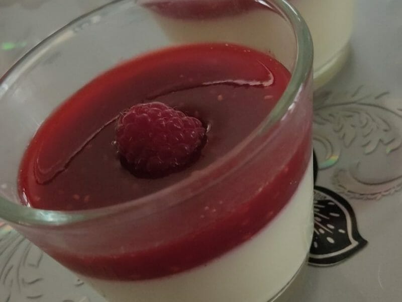 Cliquez pour zoomer ! Panna Cotta Thermomix par justine41000