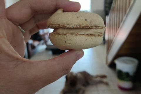 Cliquez pour zoomer ! Macarons salés au foie gras Thermomix par thanat0w