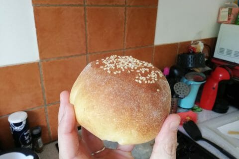 Cliquez pour zoomer ! Petits pains farcis au boeuf Thermomix par thanat0w