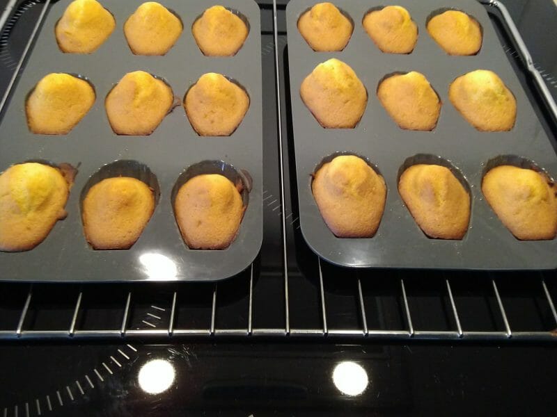 Cliquez pour zoomer ! Madeleines Thermomix par Mignot