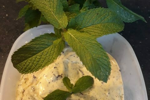 Cliquez pour zoomer ! Glace menthe-chocolat Thermomix par celineb82