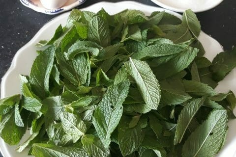 Cliquez pour zoomer ! Glace menthe-chocolat Thermomix par celineb82