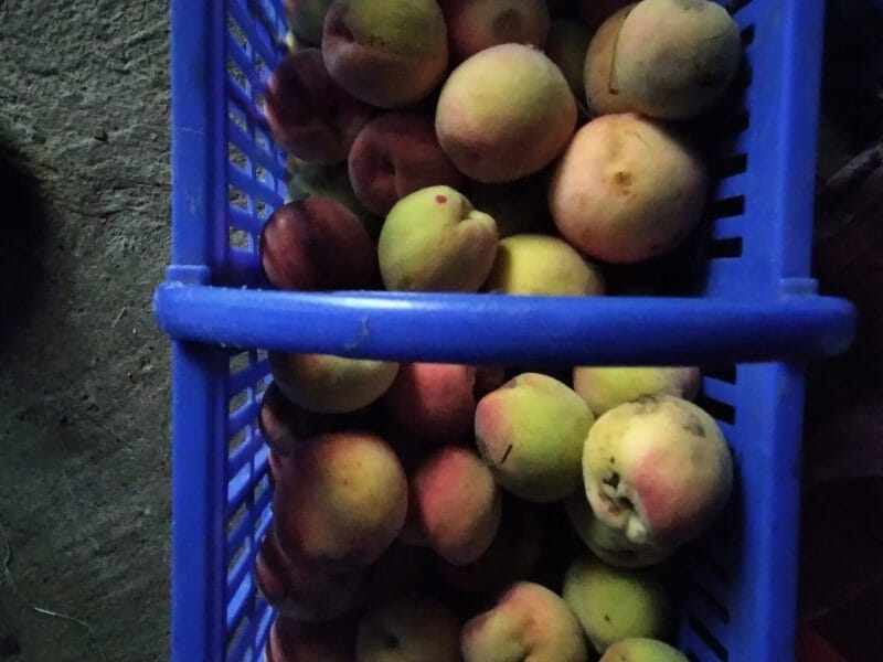 Cliquez pour zoomer ! Photo de hestia2014 Thermomix par hestia2014