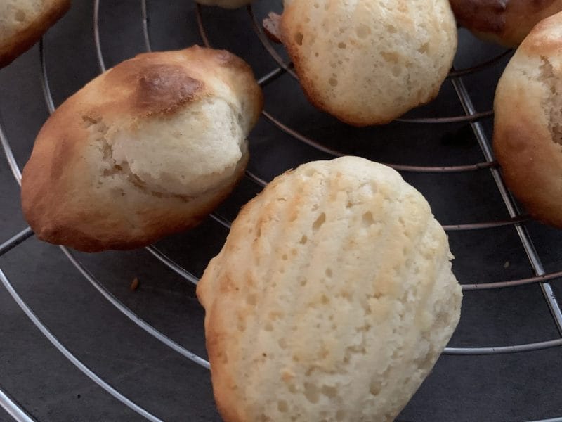 Cliquez pour zoomer ! Madeleines au yaourt Thermomix par delphine fifine trotin