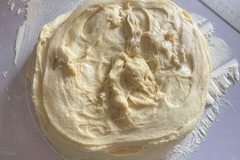 Cliquez pour zoomer ! Brioche tressée à la mie filante Thermomix par cneche