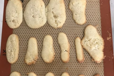 Cliquez pour zoomer ! Langues de chat Thermomix par Coconini