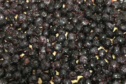 Cliquez pour zoomer ! Tarte aux myrtilles Thermomix par Coconini