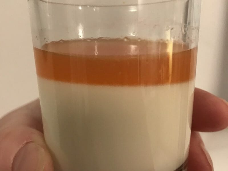 Cliquez pour zoomer ! Panna cotta au sirop de pamplemousse Thermomix par Coconini