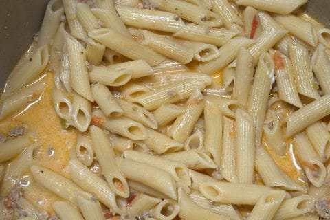 Cliquez pour zoomer ! Penne à la vodka Thermomix par Coconini