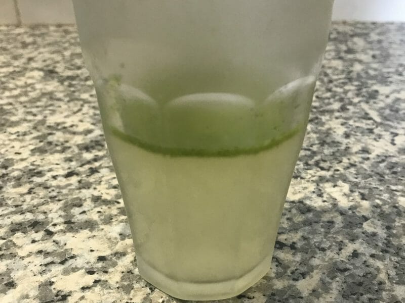 Cliquez pour zoomer ! Lemon mint Thermomix par Coconini