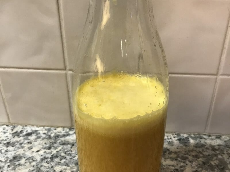 Cliquez pour zoomer ! Shot gingembre orange Thermomix par Coconini