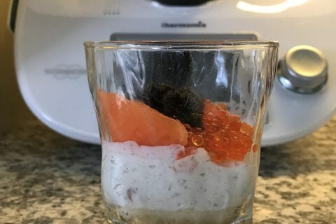 Cliquez pour zoomer ! Cheesecake au saumon sans cuisson Thermomix par Coconini
