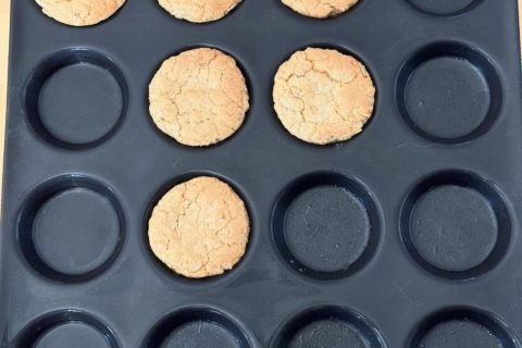 Cliquez pour zoomer ! Photo de Coconini