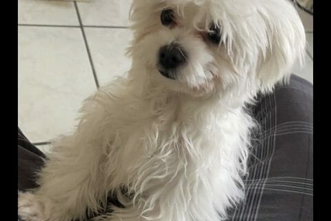 Cliquez pour zoomer ! Photo de Coconini3869