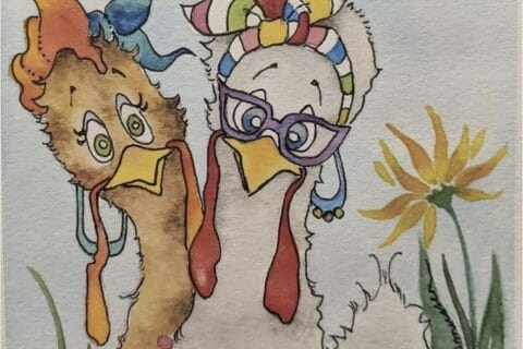 Cliquez pour zoomer ! Photo de Coconini