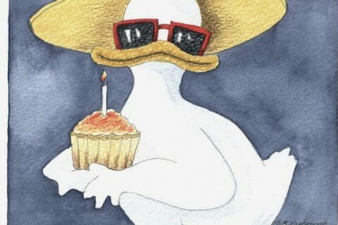 Cliquez pour zoomer ! Photo de Coconini3869