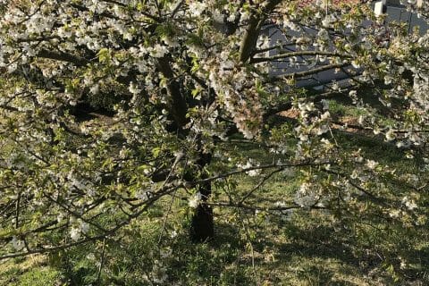 Cliquez pour zoomer ! Photo de Coconini3869