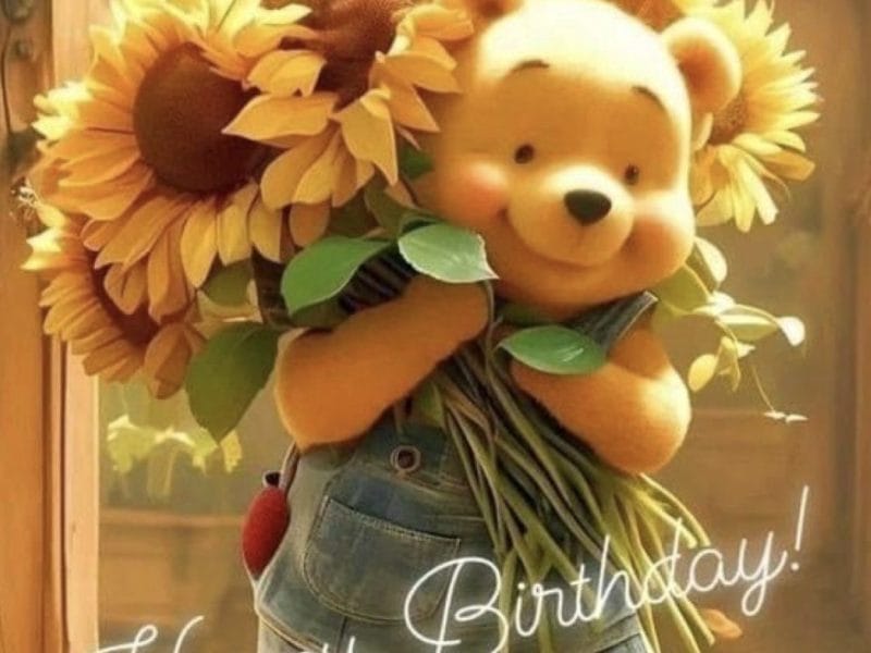 Cliquez pour zoomer ! Photo de Coconini Thermomix par Coconini