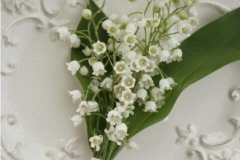 Cliquez pour zoomer ! Photo de Coconini3869