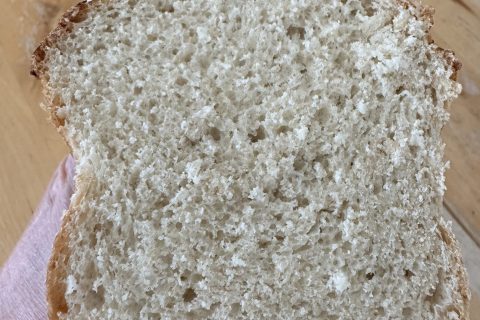 Cliquez pour zoomer ! Photo de Coconini