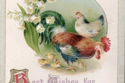 Cliquez pour zoomer ! Photo de Coconini3869