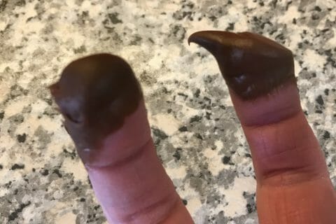 Cliquez pour zoomer ! Photo de Coconini3869