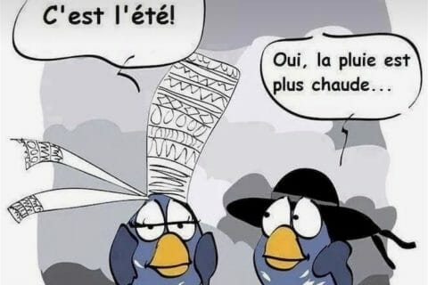 Cliquez pour zoomer ! Photo de Coconini