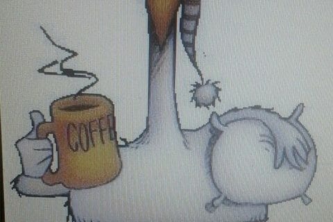 Cliquez pour zoomer ! Photo de Coconini3869