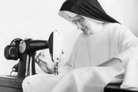 Cliquez pour zoomer ! Photo de Coconini