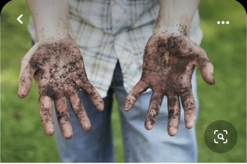 Cliquez pour zoomer ! Photo de Coconini3869