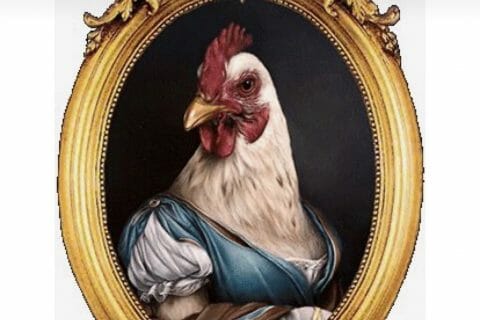 Cliquez pour zoomer ! Photo de Coconini3869