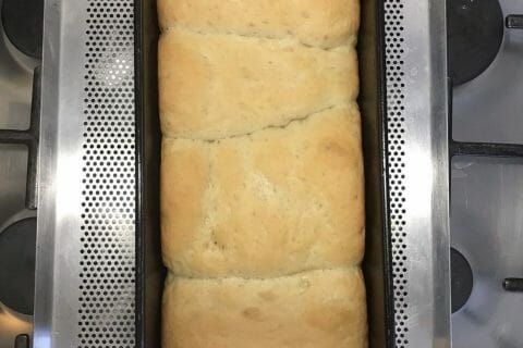 Cliquez pour zoomer ! Photo de Coconini