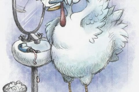 Cliquez pour zoomer ! Photo de Coconini3869