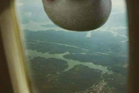 Cliquez pour zoomer ! Photo de Coconini