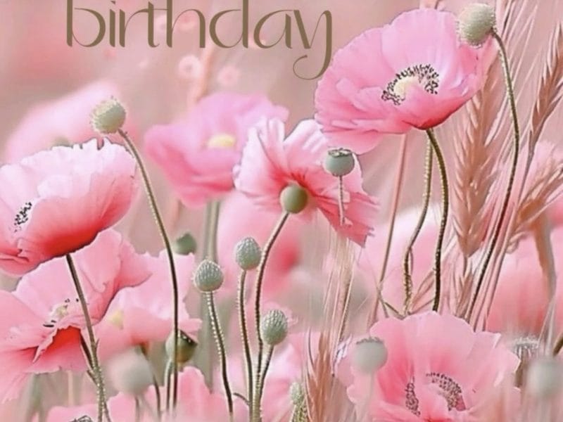 Cliquez pour zoomer ! Photo de Coconini Thermomix par Coconini