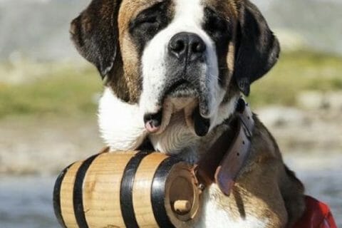 Cliquez pour zoomer ! Photo de Coconini3869