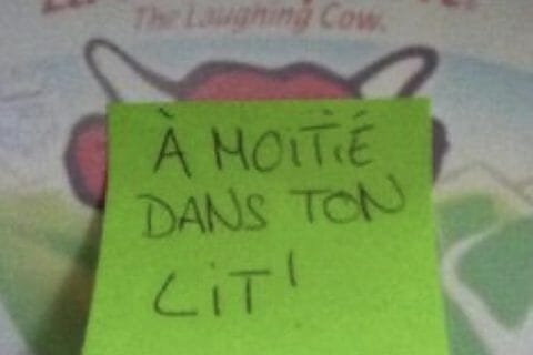 Cliquez pour zoomer ! Photo de Coconini