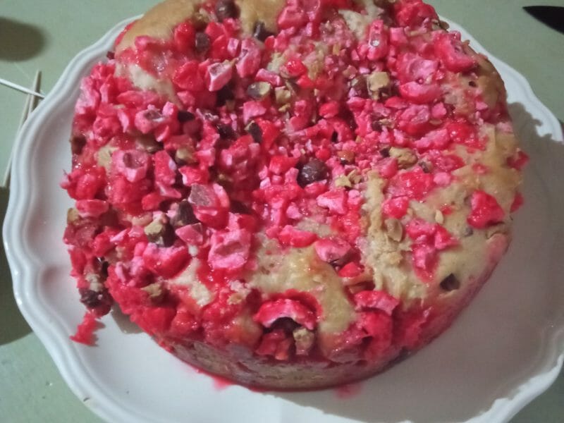 Cliquez pour zoomer ! Brioche aux pralines roses Thermomix par francine21110