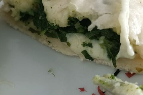 Cliquez pour zoomer ! Wang mandu – petits pains farcis à la vapeur Thermomix par judroxaneloomis