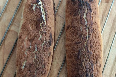 Cliquez pour zoomer ! Photo de pacato